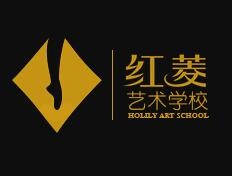 红菱舞蹈艺术