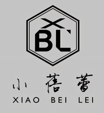小蓓蕾舞蹈