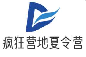 疯狂营地夏令营