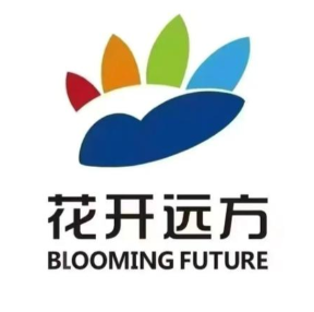 花开远方语文