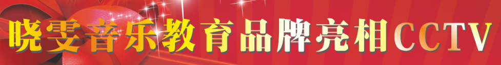 晓雯音乐学校加盟