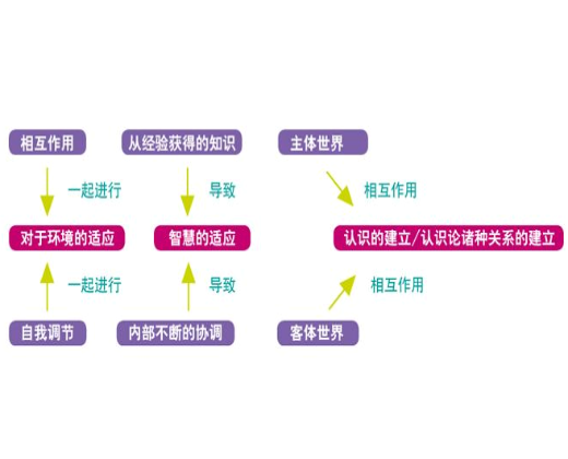 瑞思玛特