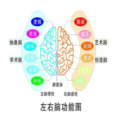 清大益师全脑教育