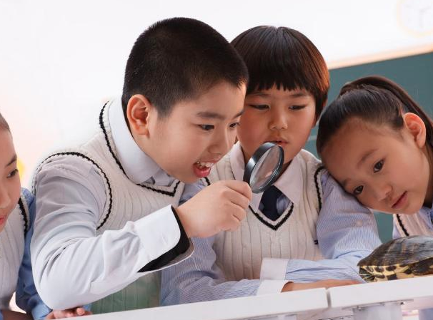 东诚慧教育