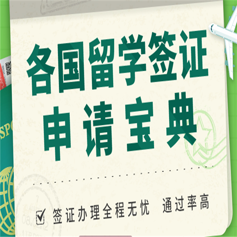 新通国际