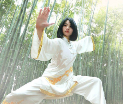 瀚锋太极太极拳