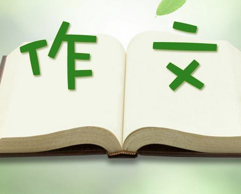 爱与碍作文