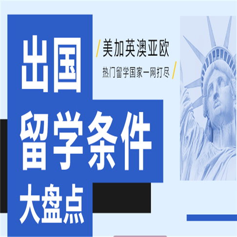 新通国际