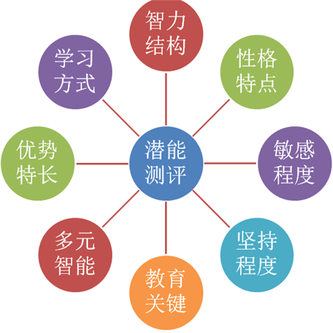 Dr.Finger大脑多元潜能测评