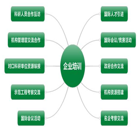 北大青鸟