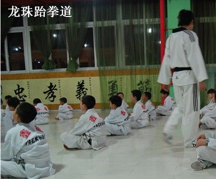 龙珠跆拳道