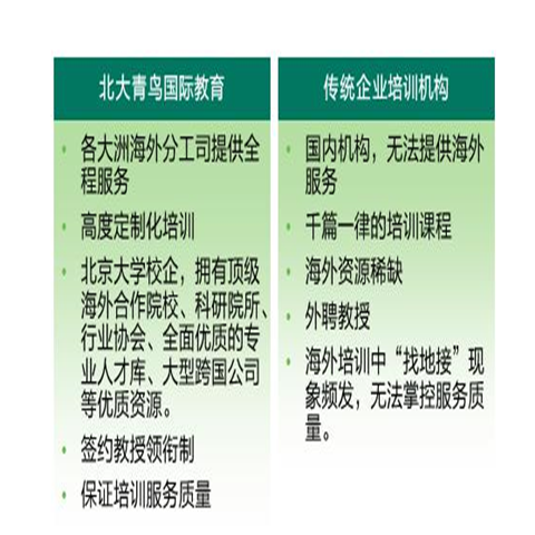 北大青鸟