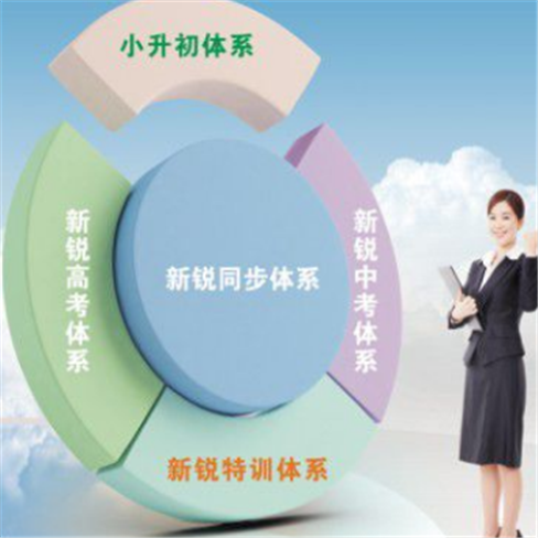 新锐教育
