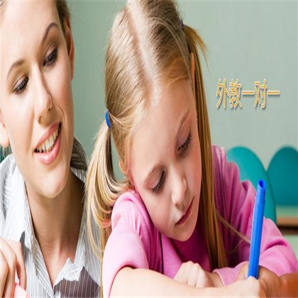 新视野教育