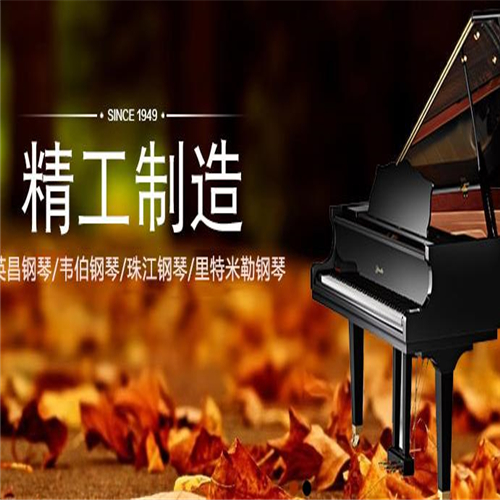 卓乐琴行