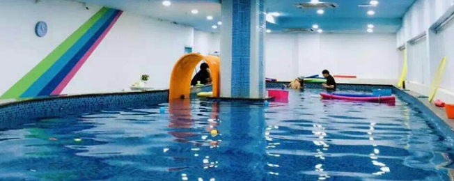么么家亲子水育早教加盟