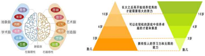 家有儿女全脑开发加盟