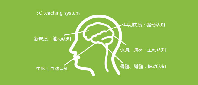 瑞德启蒙教育加盟