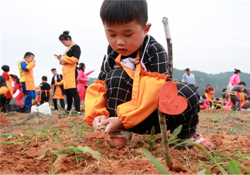 萌芽幼儿园