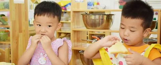 树果国际幼儿园加盟