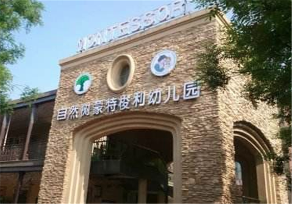 自然树幼儿园
