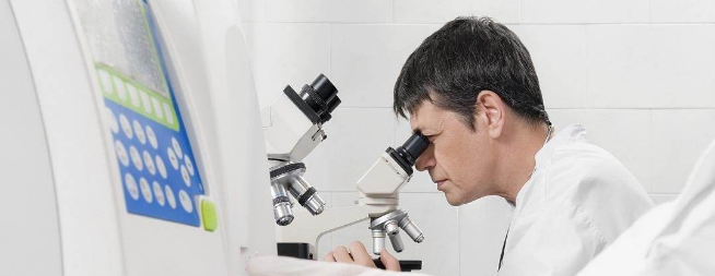 哈利魔法科学加盟