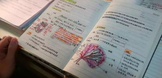 优胜个性学加盟