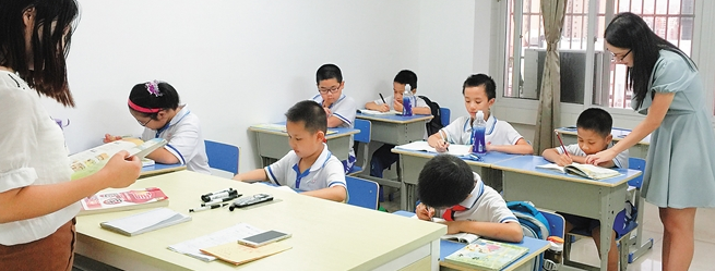 树先生教育加盟