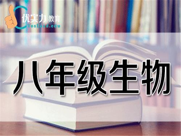 优实力中考辅导