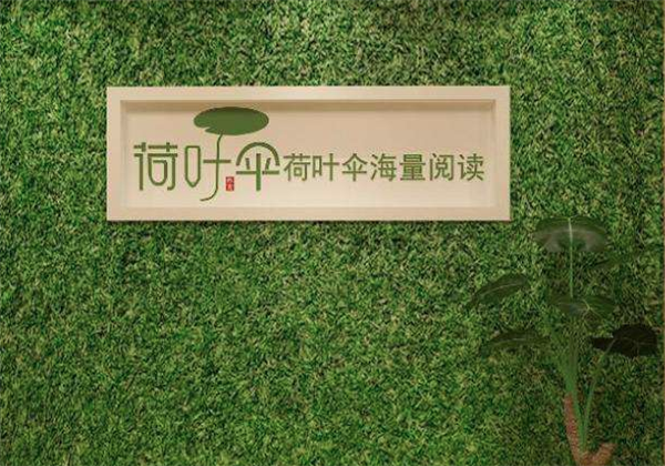 荷叶伞海量阅读