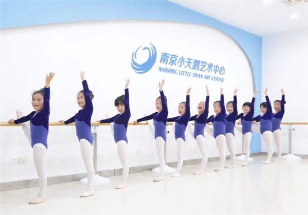 小天鹅艺术培训中心