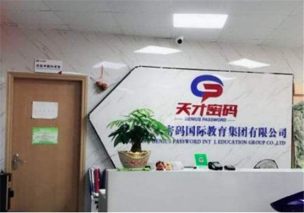 天才密码儿童教育加盟