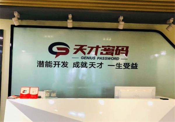 天才密码儿童教育加盟