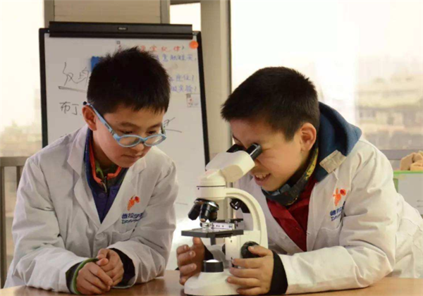 德拉学院加盟