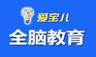 爱宝儿全脑教育