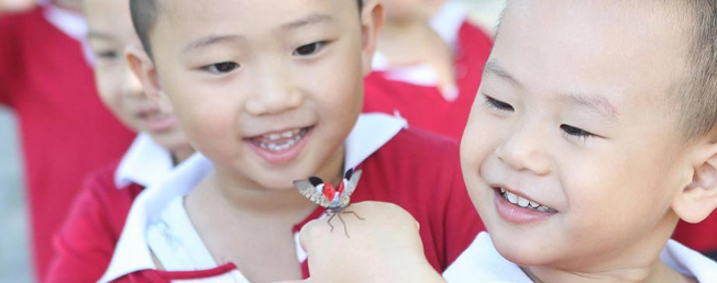 诺贝尔幼儿园加盟