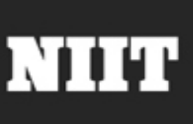 NIITIT培训