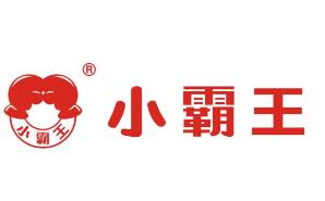 小霸王学习机