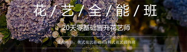 植物书院加盟