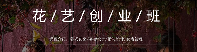 植物书院加盟