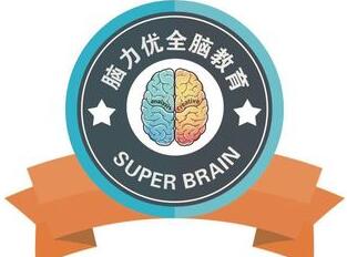 脑力优全脑教育