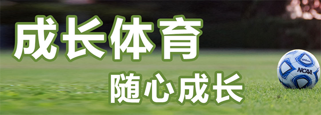 成长体育加盟