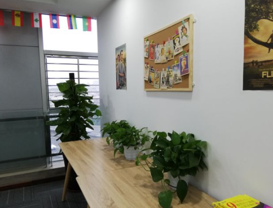 伯乐轩教育加盟 伯乐轩教育加盟