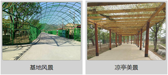 青少年军事将帅夏令营加盟
