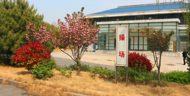 小硬汉训练营加盟