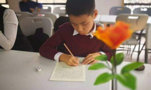 荣上教育加盟