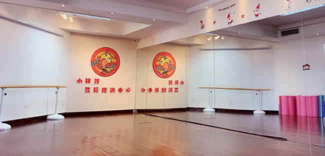 小锦鲤舞蹈加盟