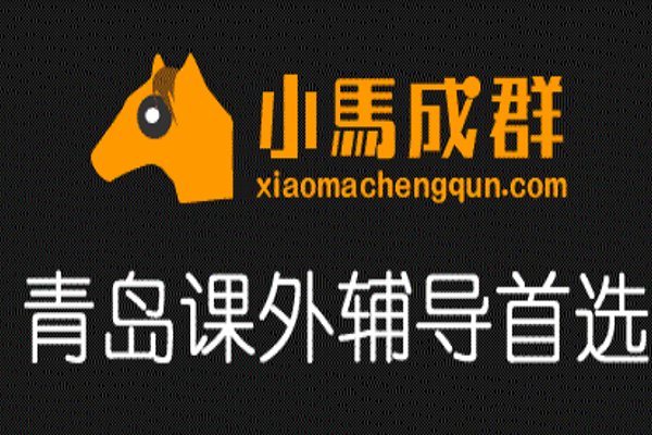 小马成群教育加盟