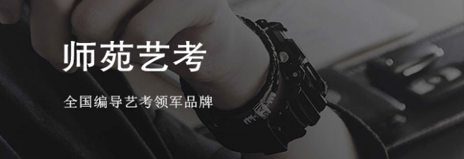 师苑艺考加盟