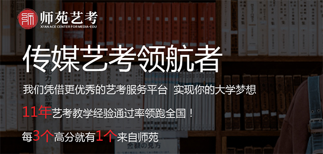 师苑艺考加盟
